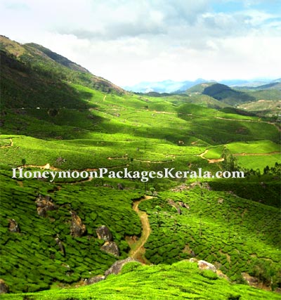 Kerala honeymoon destinations